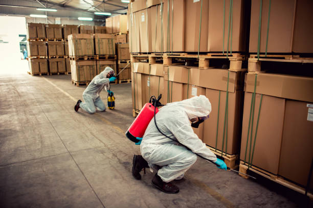 Best Wildlife Control Services  in Cullman, AL