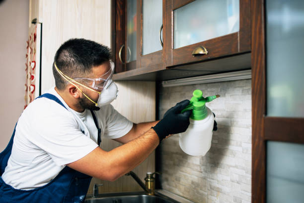 Best Exterminator Services  in Cullman, AL