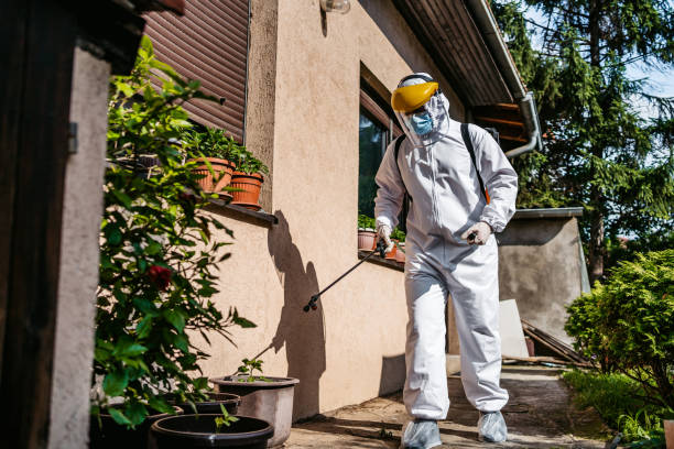 Best Mosquito Control Services  in Cullman, AL