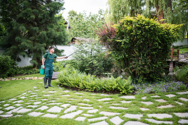 Best Pest Prevention Services  in Cullman, AL