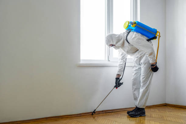 Best Best Pest Control Companies  in Cullman, AL