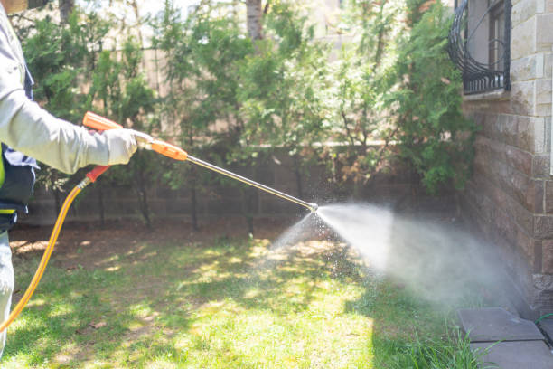 Bird Control in Cullman, AL