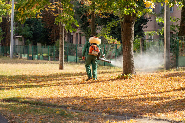 Best Pest Removal Services  in Cullman, AL