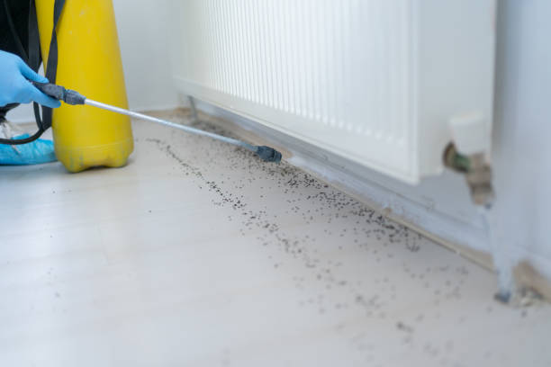 Professional Pest Control in Cullman, AL