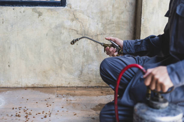 Best Pest Prevention Services  in Cullman, AL